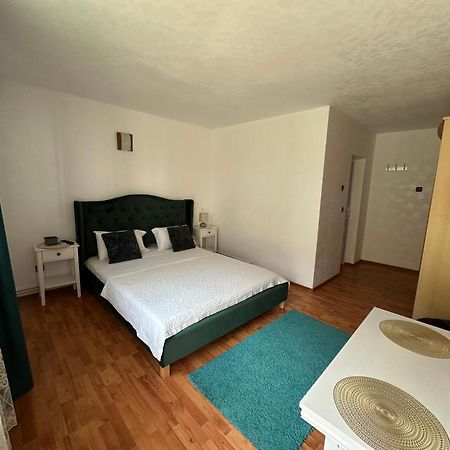 Vila Ana Băile Herculane エクステリア 写真