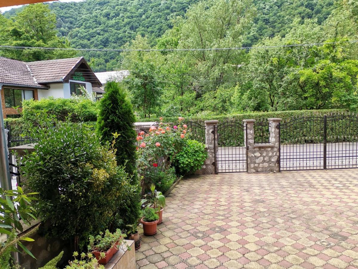 Vila Ana Băile Herculane エクステリア 写真