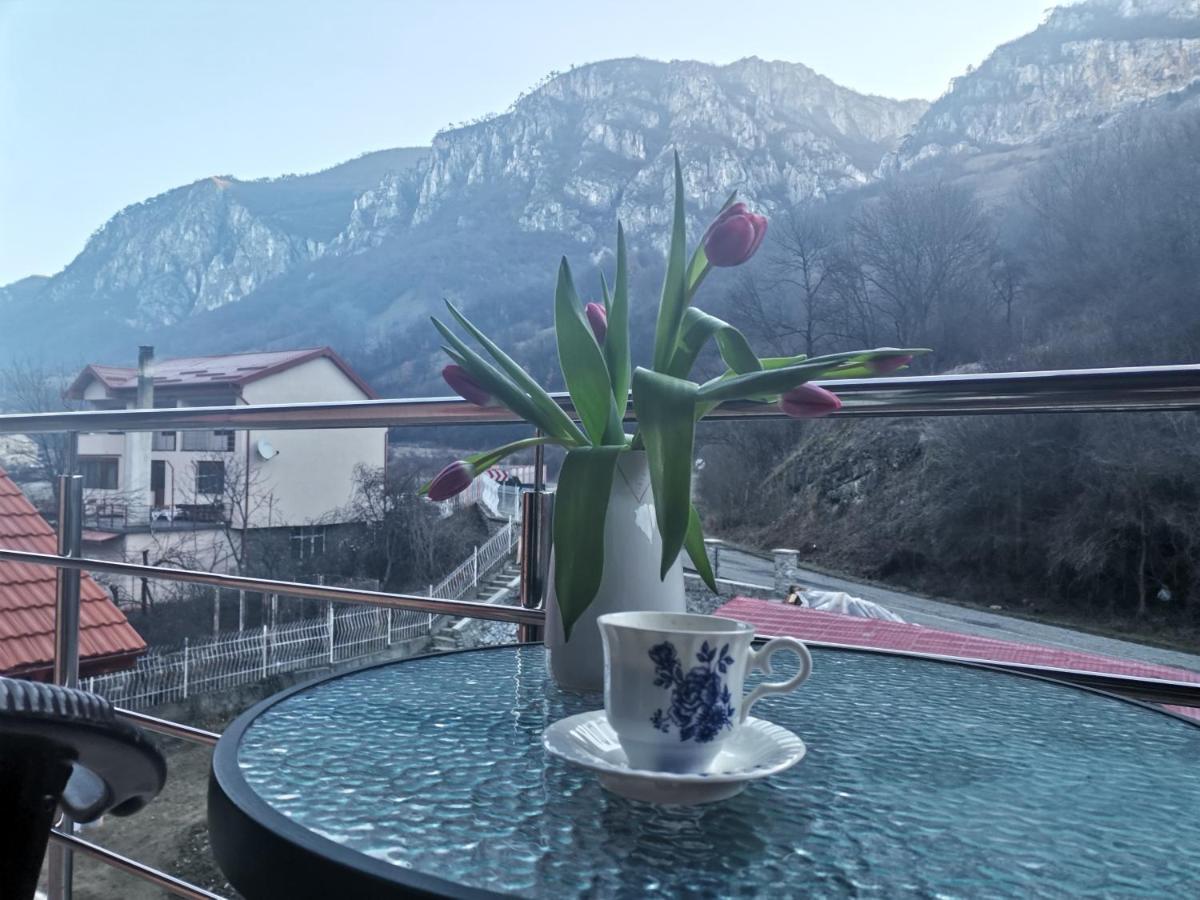 Vila Ana Băile Herculane エクステリア 写真