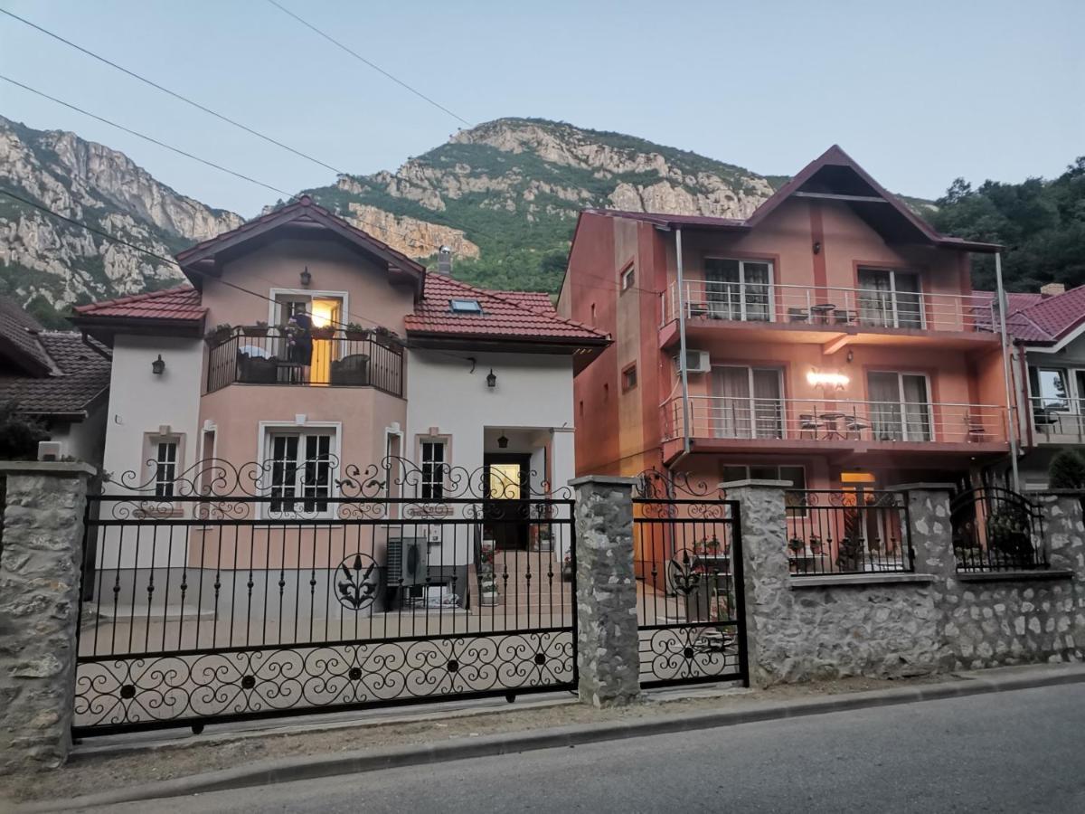 Vila Ana Băile Herculane エクステリア 写真