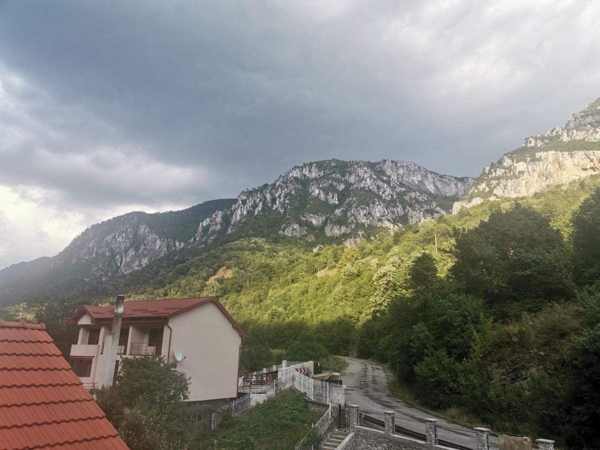Vila Ana Băile Herculane エクステリア 写真