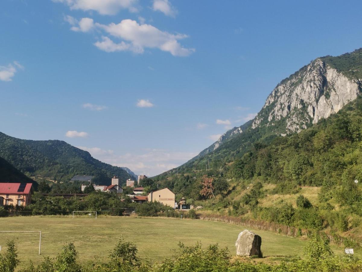Vila Ana Băile Herculane エクステリア 写真