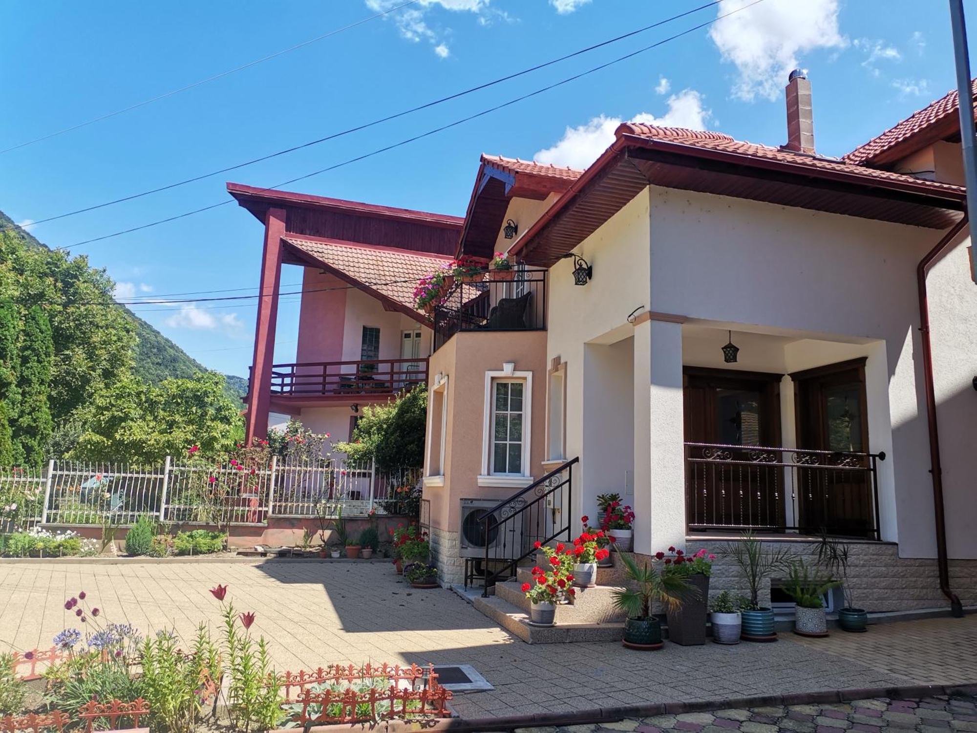 Vila Ana Băile Herculane エクステリア 写真