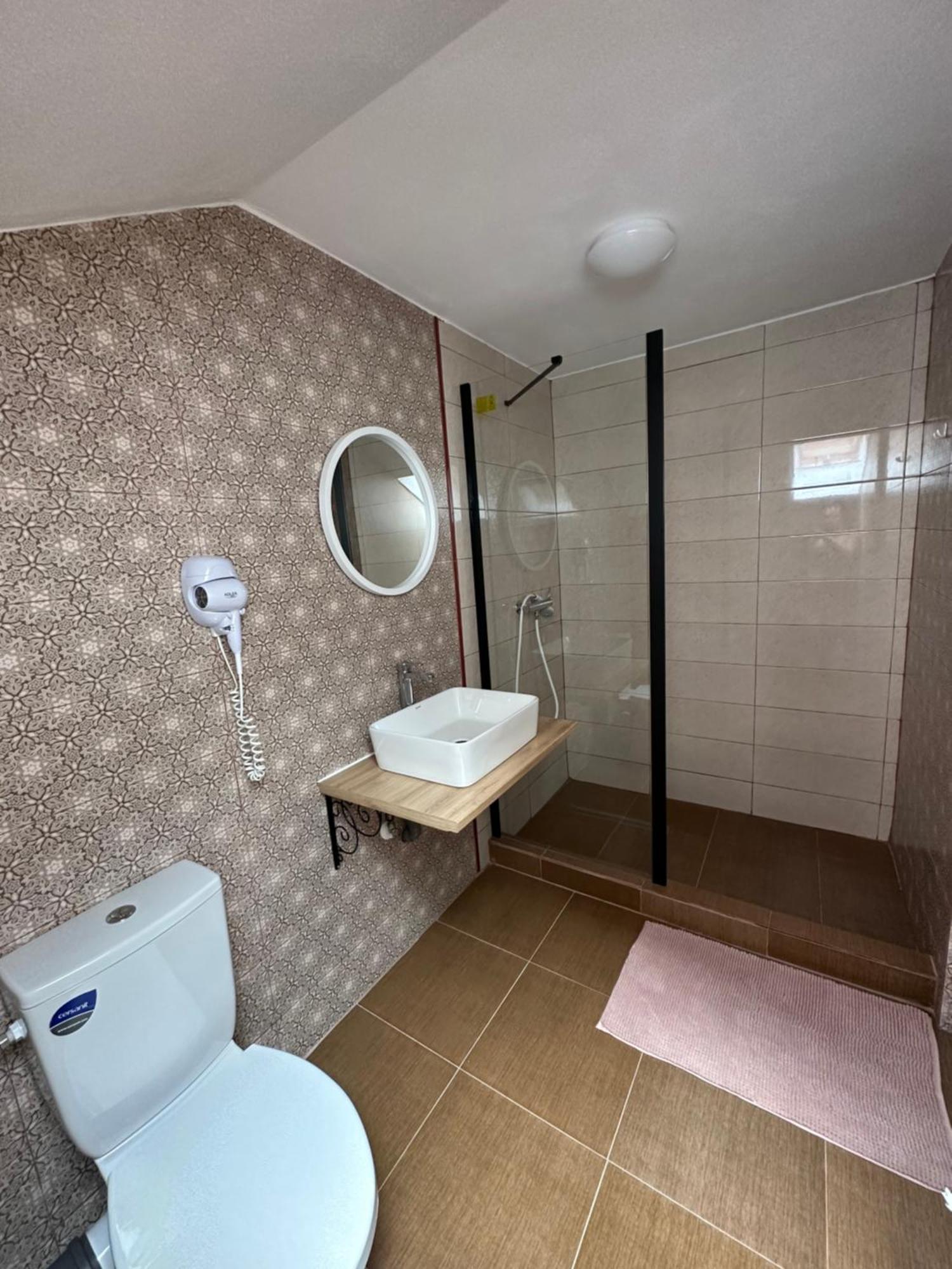 Vila Ana Băile Herculane エクステリア 写真
